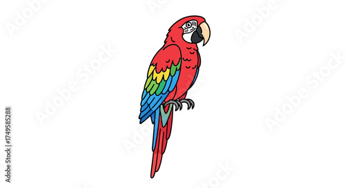 Vibrant scarlet macaw illustration adds a splash of tropical flair to your designs, perfect for children's books and educational materials