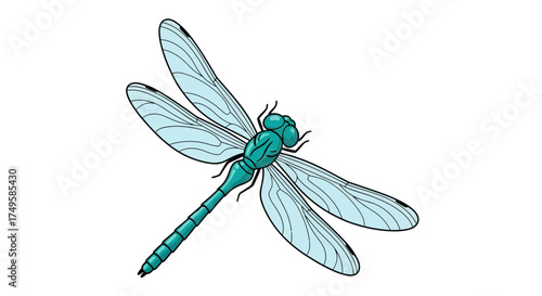 Elegant teal dragonfly illustration with intricate wing details, perfect for nature-inspired designs, branding, and artistic backgrounds with a touch of whimsy