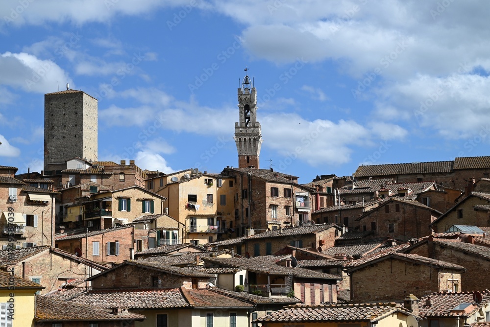 Fototapeta premium ue générale de la ville de Sienne avec la Torre del Mangia