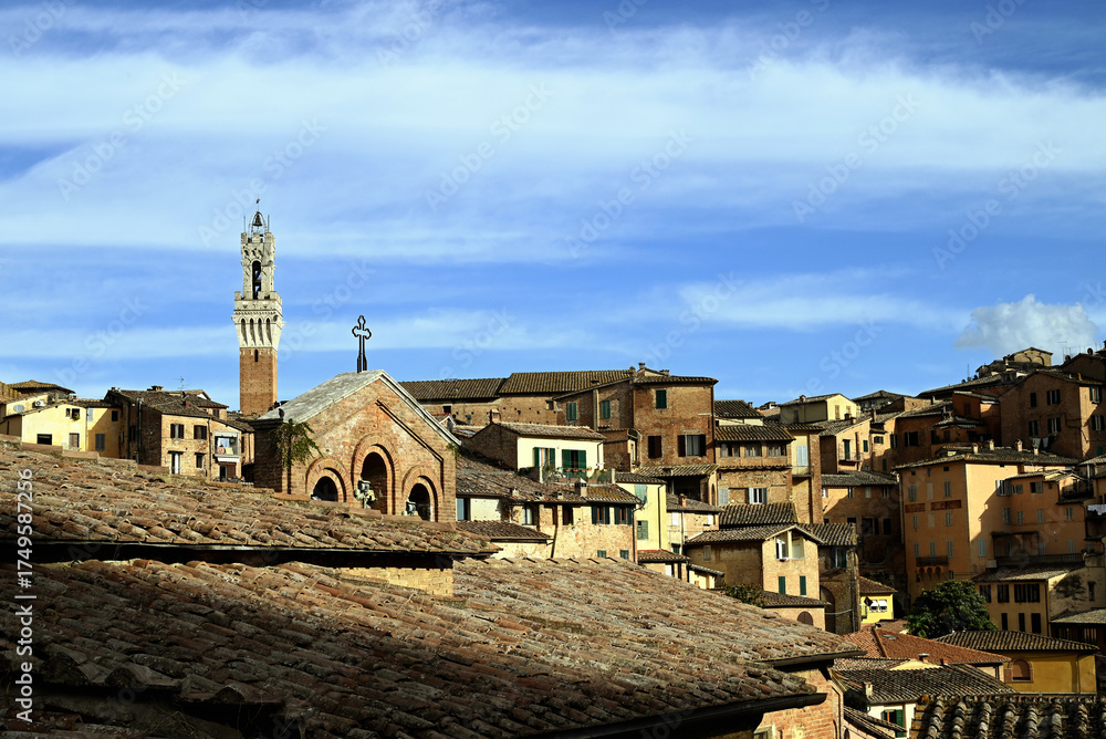 Obraz premium Vue générale de la ville de Sienne avec la Torre del Mangia