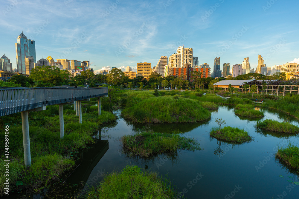 Fototapeta premium Green city park with swamp sunset blue sky cloud trees track running walking relax in park on green grass field on the side