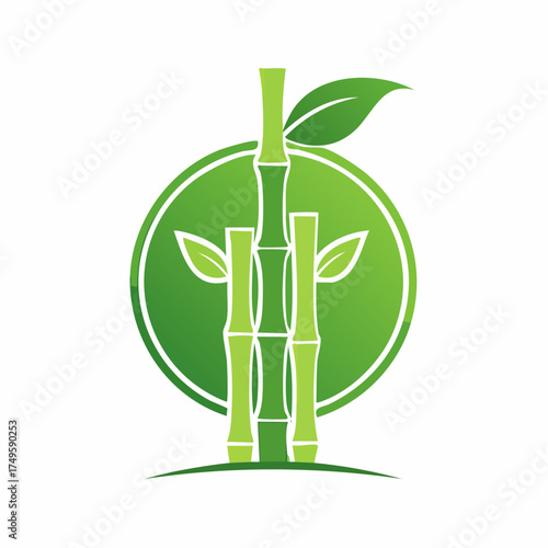 Bamboo stalks and leaves illustration in front of a gradient green circle