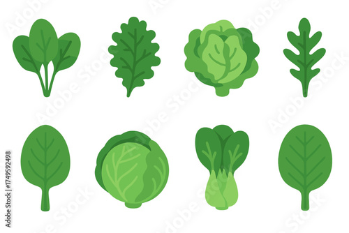 Assortment of fresh green leafy vegetables and cabbage icons