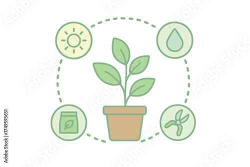 Potted plant life cycle stages and essential care requirements diagram