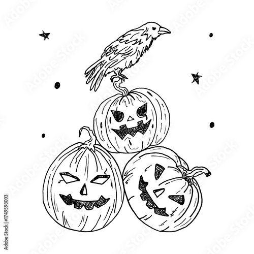 Halloween composition with smiling pumpkins and a crow. Doodle drawings with black outlines. Designs for printing on t-shirts, bags, postcards, invitations. An autumn collection of spooky pumpkins.