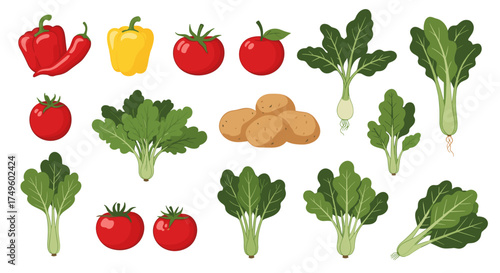 A vibrant collection of fresh vegetables including bell peppers tomatoes potatoes and leafy greens.