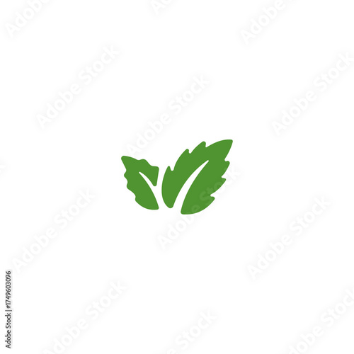 Stevia sweetener icon logo flat vector design