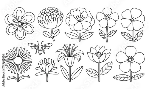 Elegant Outlined Flowers and Bee Vector Illustration for Coloring Books