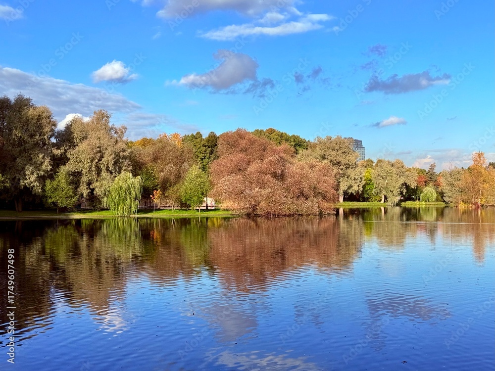 Fototapeta premium autumn trees reflection on the blue lake surface, autumn lake in the park