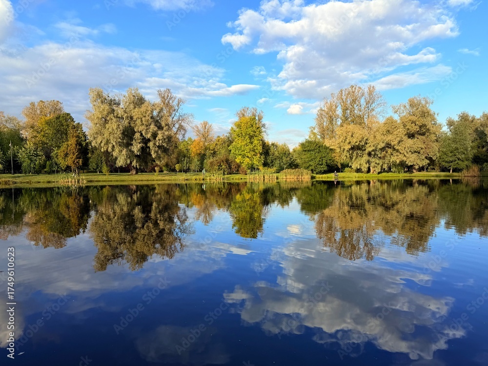 Obraz premium autumn trees reflection on the blue lake surface, autumn lake in the park