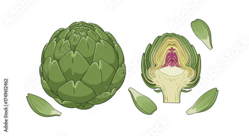A whole and a sliced artichoke with scattered leaves on a white background.