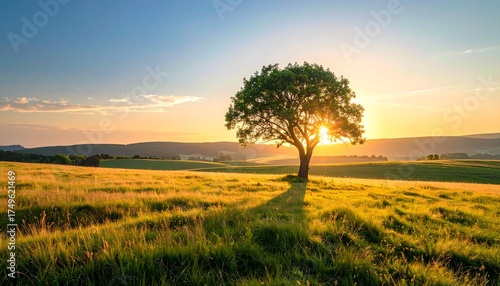 Realistic Landscape with Solitary Tree on Horizon under Clear Sky – Peaceful Nature Photo in Vivid Colors
