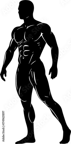 A black-and-white body builder against a white background in a straightforward and inconspicuous vector silhouette
