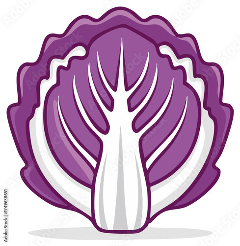 Vibrant red cabbage half cut showcasing fresh purple leaves and white core vector illustration