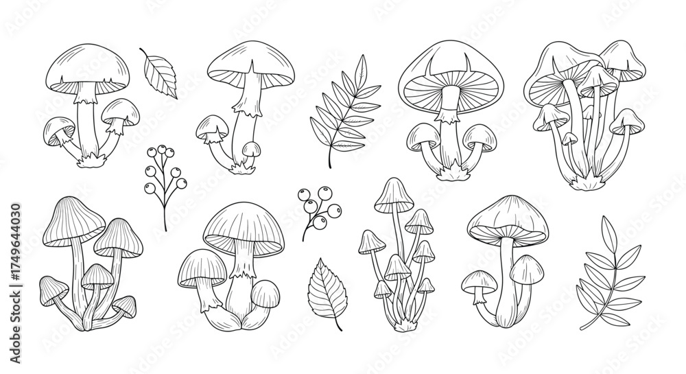 Obraz premium A collection of hand drawn mushrooms and leaves in a sketchy style.