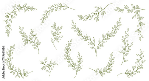 Elegant botanical sprigs and decorative leaf elements for design purposes.