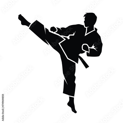 Martial artist performing a high kick martial arts