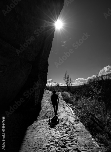 Wanderer
