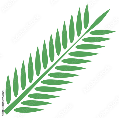Isolated green fern frond illustration for nature design elements, botanical or tropical leaves, and plant vector graphics.