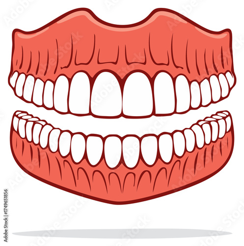 Complete Set of Dentures Cartoon Illustration Showing Upper and Lower Arches for Dental Health