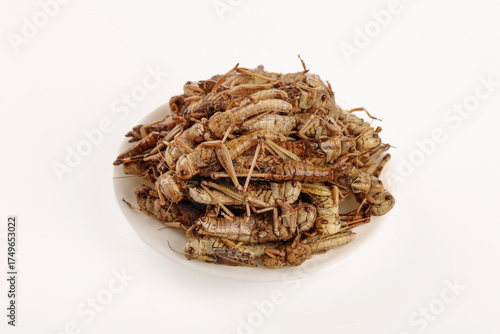 Fotografía Fresh Fried Grasshoppers Shandong Chinese Insect Food Delicacy Protein Snack Tra