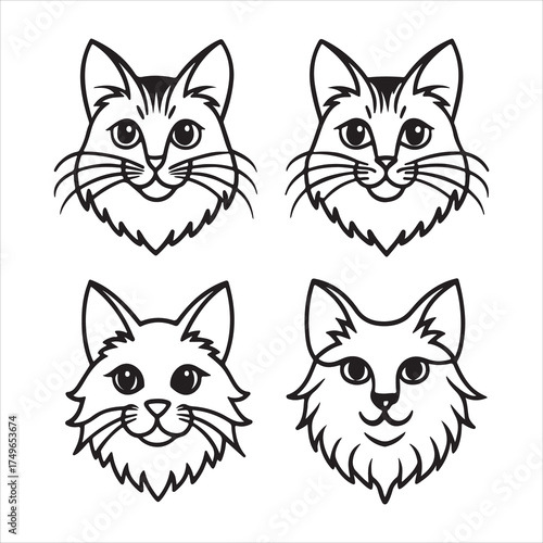 A Cuddly Teddy Bear Ragamuffin Cat Portrait, Showcasing its Plush Coat Rabbit Like Fur and Large Expressive Eyes, a Gentle Heavy Boned Breed with a Sweet Nature Perfect as a Lap Cat.