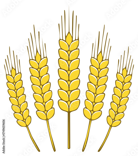 Collection of five stylized golden wheat stalks in a graphic design element