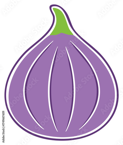 Stylized Purple Fig with Green Stem, Fresh Tropical Fruit, Healthy Vegetarian Food and Vegan Sweet Treat