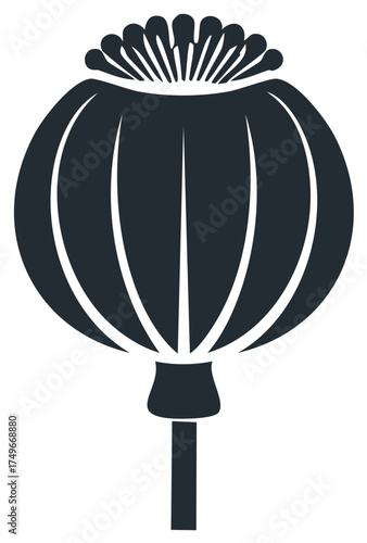 Stylized Opium Poppy Seed Pod Graphic Illustration Dark Blue Single Object