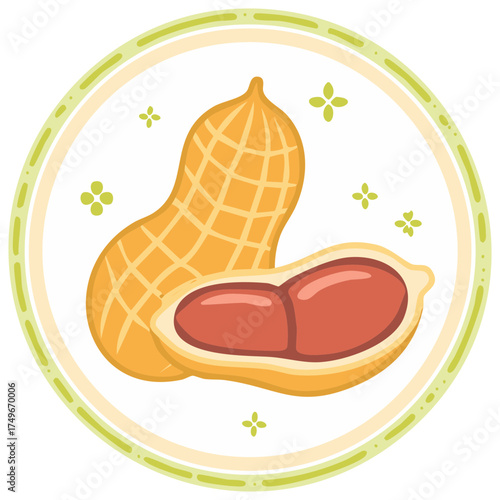 Illustration of Whole and Opened Peanut with Kernels in Circular Frame with Floral Accents