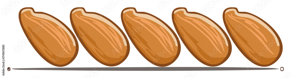 Obraz premium Vector cartoon illustration of five whole almonds lined up, a healthy snack food