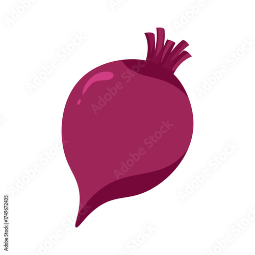 Simple Beetroot Vegetable Vector Art Design