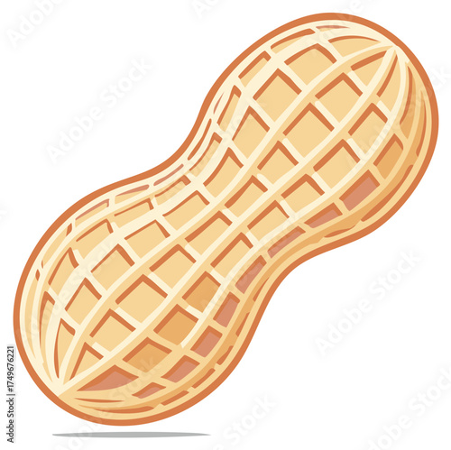 Illustration of a stylized peanut with textured shell and warm colors