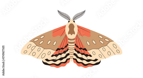 A beautiful moth with patterned wings and antennae.