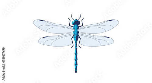 A close up image of a bright blue dragonfly with delicate transparent wings.