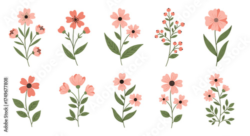 Delicate pink flowers and green leaves collection.