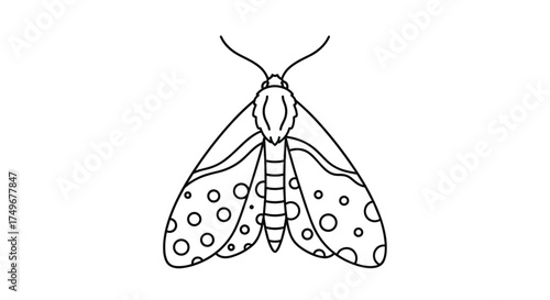 Illustrating a small moth with speckled wings and a segmented body.