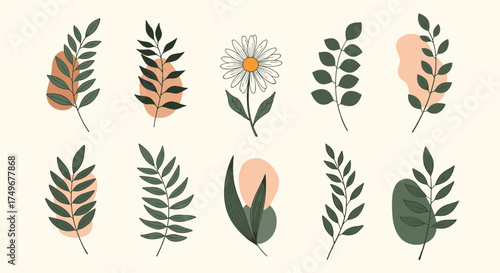 A minimalist collection of abstract botanical illustrations featuring green leaves and earthy tones.