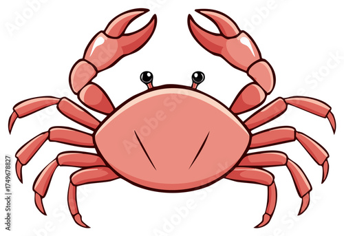 A friendly pink crab crustacean with large pincers shown in a cute cartoon vector illustration