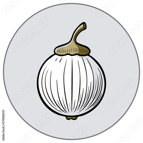 Botanical illustration of a white poppy seed head with a brown stem and crown on a grey circle background