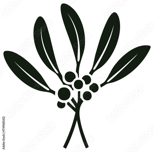Stylized Mistletoe Branch with Berries Silhouette for Winter Holidays Design Elements