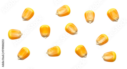 Isolated Yellow Corn Kernels on a Black Background for Food Concept
