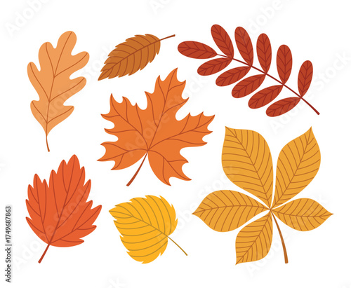 Various autumn leaves set. Bright fall leaves collection. Flat style vector illustrations isolated on white background