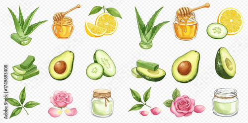 Watercolor illustration set of natural organic ingredients for homemade skincare and beauty products including aloe vera, honey, lemon, avocado, cucumber, and rose.