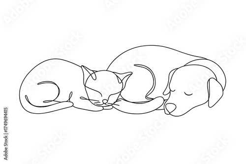 Cat and dog sleeping together in simple line art style  
