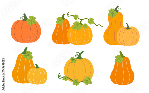 Autumn season farm pumpkins with leaves set flat stock vector illustration.
Element design for harvest festival, Thanksgiving. 
White background.