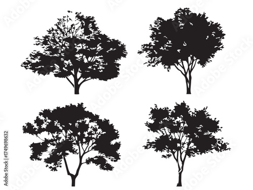 Elegant Ash Tree Silhouettes in Black 2D Vector Line Art