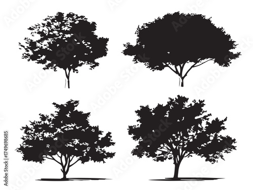 Ash Tree Silhouette Set in Decorative 2D Vector Line Art Style