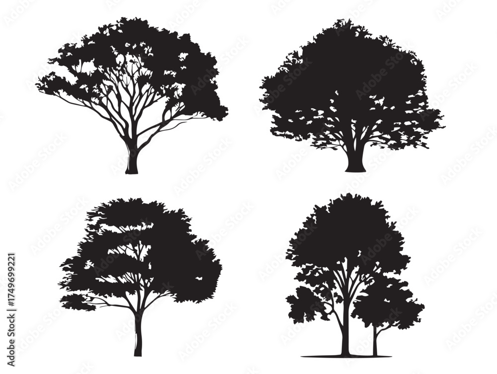 Fototapeta premium Artistic Ash Tree Composition in Minimal 2D Vector Line Art