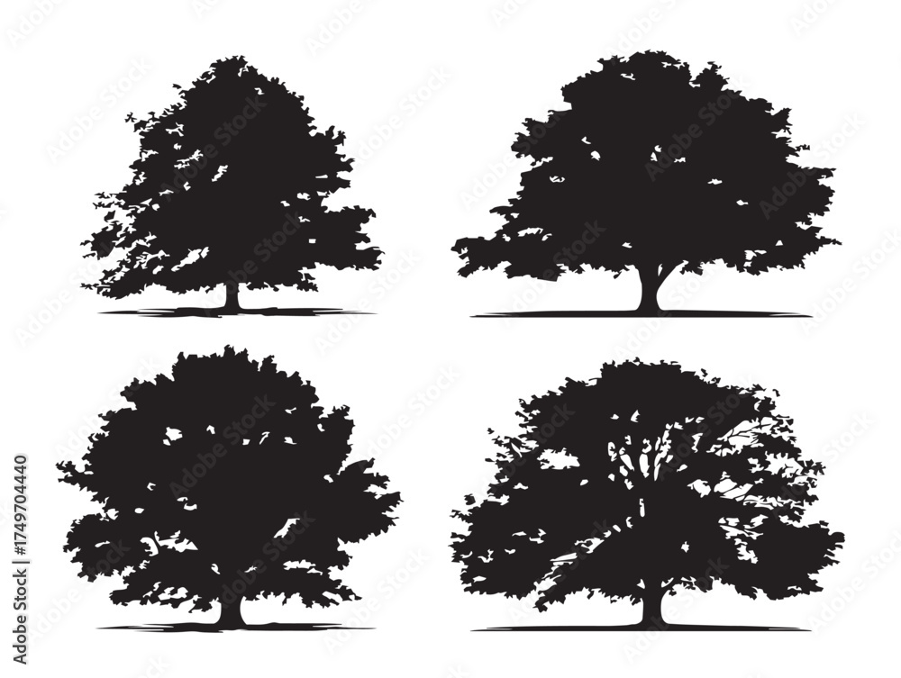 Fototapeta premium Majestic Chestnut Tree Silhouettes for Vintage 2D Vector Line Art